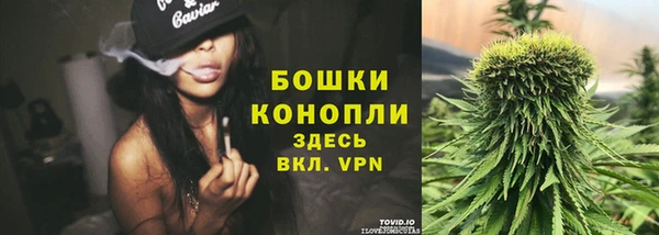 бошки Лагань
