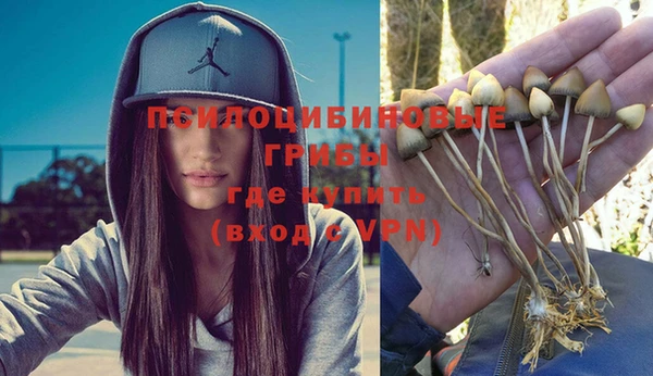 стаф Ладушкин