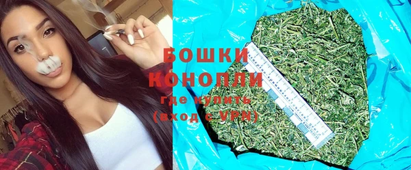 стаф Ладушкин