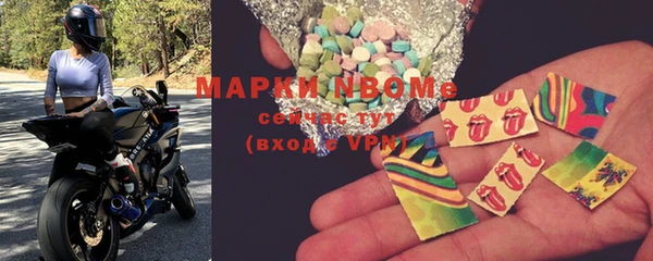 СК Болотное