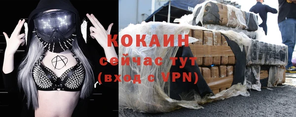 стаф Ладушкин