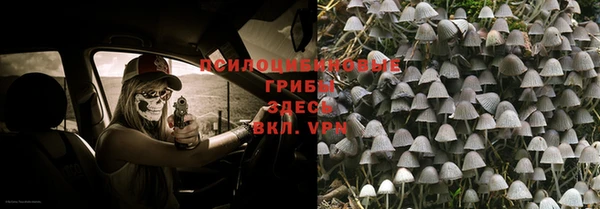 стаф Ладушкин